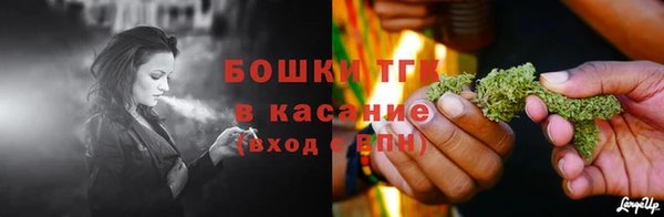 гидра Аркадак