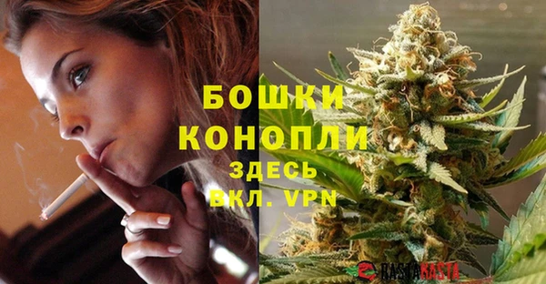 гидра Аркадак
