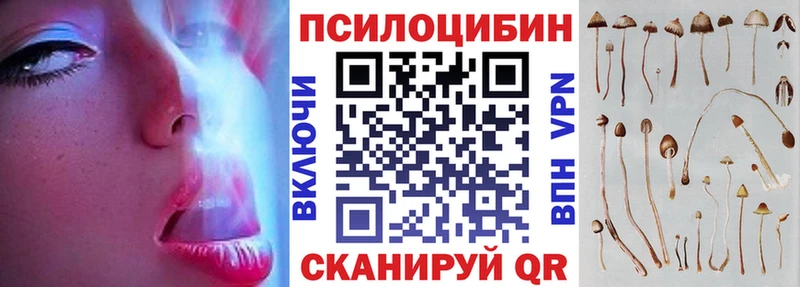 наркотики  Майский  Галлюциногенные грибы Cubensis 